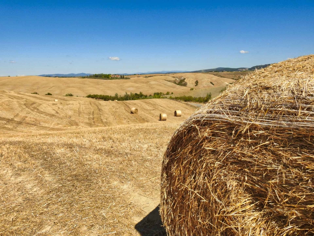 Val d'Orcia