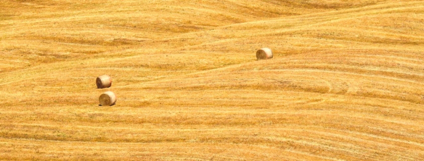 Val d'Orcia