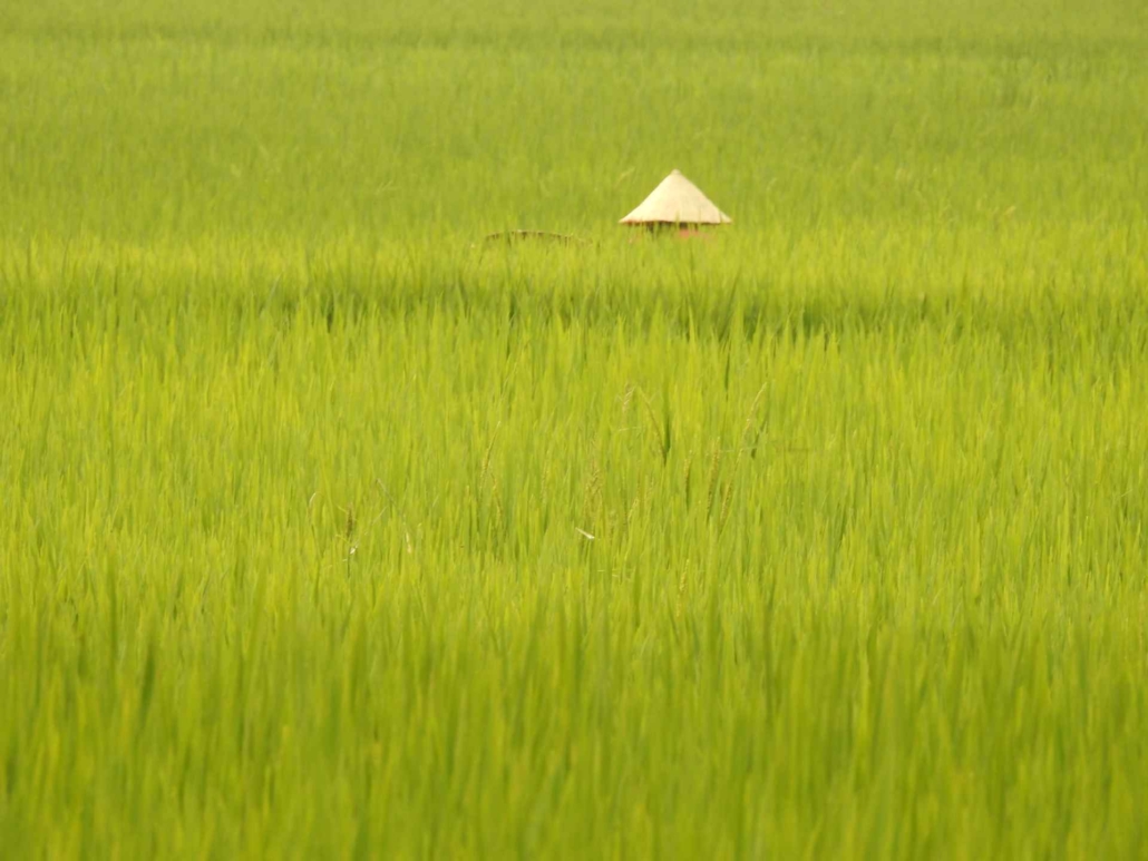 Mai Chau