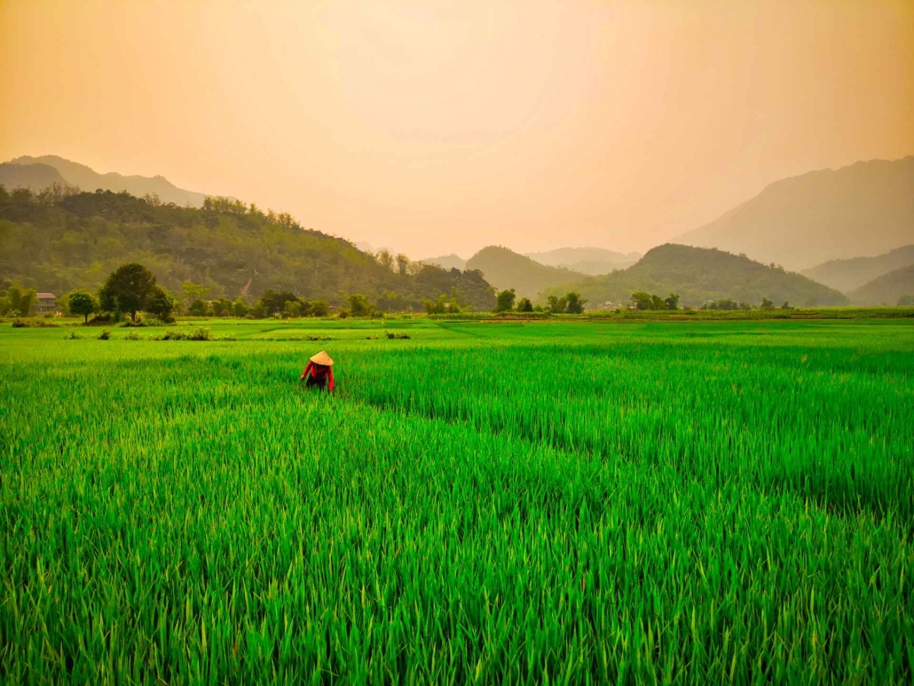 Mai Chau
