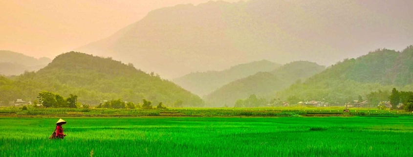 Mai Chau