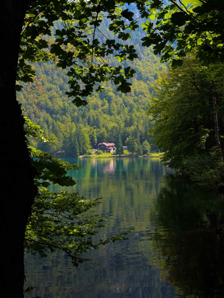 Friuli Venezia Giulia