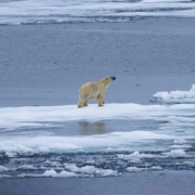 Svalbard